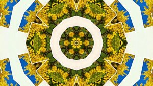 Весна! Мимозы для моей очаровательной ЗАНОЗЫ 6! Киностудия Мудрого Кота Тимофея!