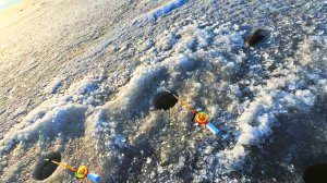 Весенняя рыбалка УГОЛЬНАЯ со льда в Амурском заливе.