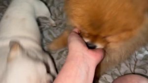 Доброго всем утречка и самого прекрасного настроения.