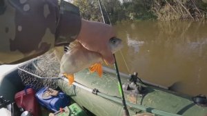 🎣🔺️ХОРОШ🎣🔺️fishing#туризм#природа#ловля#рыбалка#щука#ловлящуки#ночевка#Чулым#река#спиннинг