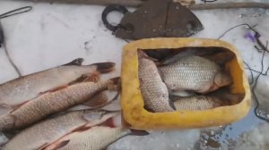 ЗИМНЯЯ РЫБАЛКА НА СЕТИ ПО ТОНКОМУ ЛЬДУ