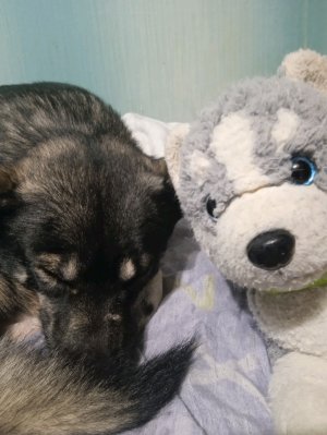 обзор подарочков от лп