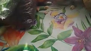 Распаковка 2