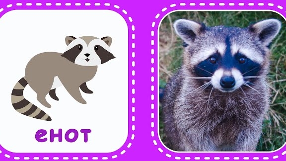 Лесные животные. Логопедические карточки для малышей. Учим животных по карточкам Домана