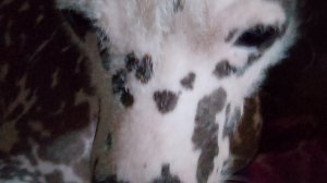 часть школа 11 каникулы