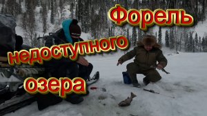 Секретное форелевое озеро на Алтае!