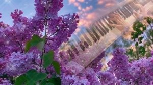 Одинокая ветка сирени. Валерий Залкин (на пианино)