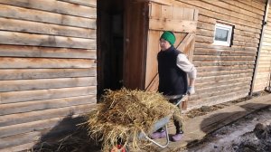 28-03-2026 Сегодня я скинула много калорий 😲 / вместо фитнеса у меня хозяйство.