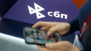 Эксперт предупредила о рисках переводов через СБП и другие системы