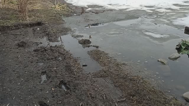 Протечка под ванной и весеннее настроение