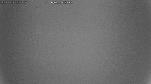 LIVE: channel43489494