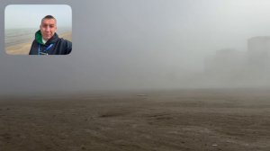 Ежик в тумане. Каспийск