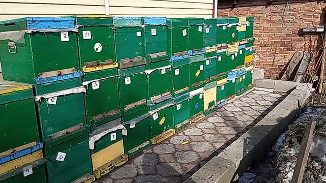 окраска магазинов 28 марта 26 года