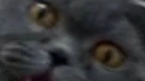 Мама вызывай такси? Играем в горе коробку 2.0V (ладно это рофл)