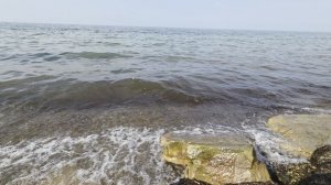 Берег Таманского залива