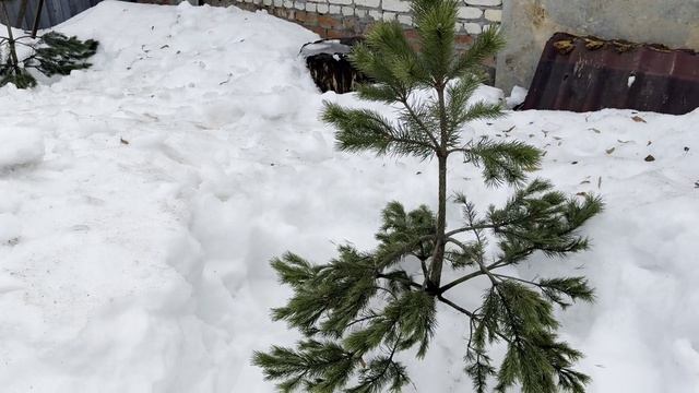 ВЫХОДНЫЕ 28.03.2026 / МЫ НА ДАЧЕ