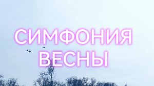 ВДНХ: Ручьи, птицы и Рыбацкая деревня