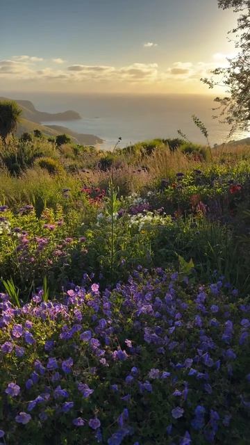 Красота|природа