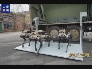 Китайские робособаки освоили совместную работу