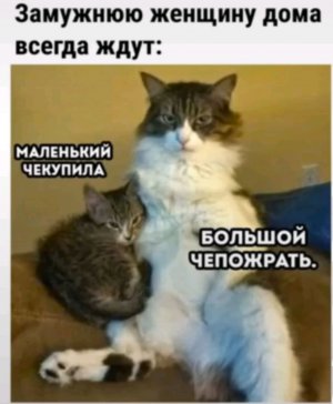 Всем привет заходите на стрим если хотите