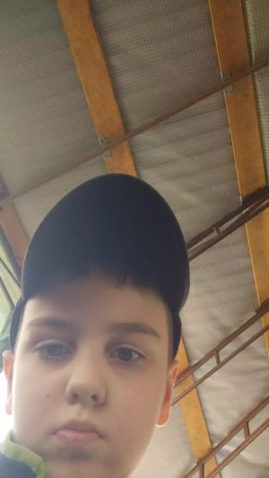 футбол спорт