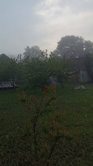 VID_20250530_192935 - 1