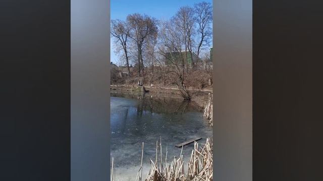 Змеиный рай (Страсти человеческие)