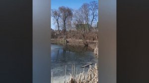 Змеиный рай (Страсти человеческие)