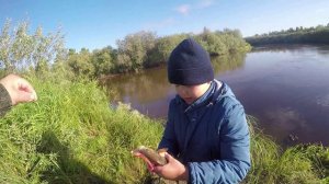 И снова эта р. Вынгапур балует нас рыбкой, вкусный плов и отличная компания. ( Архив август 2023 )