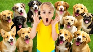 Крис и Майкл учатся заботиться о животных