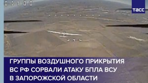 Группы воздушного прикрытия ВС РФ сорвали атаку БПЛА ВСУ в Запорожской области