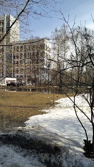 Весна
#москва #тушино #весенниеперемены