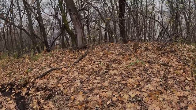 Jianshe 150, заброшки,мафия, мотоциклы энтуро