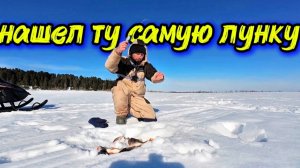 Мы их нашли.Два дня холостых рыбалок...И вот они..