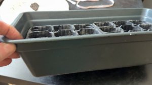 Вирджиния Голд-готовим землю для рассады