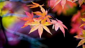 Сделайте это вечером 28 марта и деньги придут в дом.