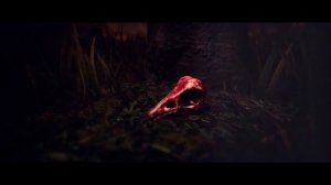 Project Songbird - Official Launch Trailer