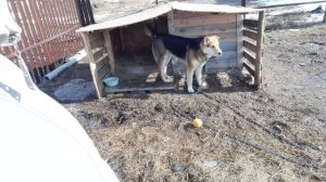 Моя Жизнь в Деревне,  Где тонко там и рвётся,  Что Делать как быть НЕ ЗНАЮ