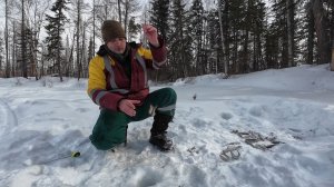Ловим ельца/ Рыбалка на таежной реке.