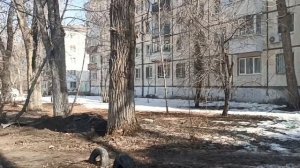 Вот такой день хороший... гуляем....