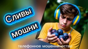 ТЕЛЕФОННОЕ МОШЕННИЧЕСТВО.
СЛИВЫ МОШНИ.