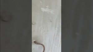 Странное место.Где мы очутились??!!