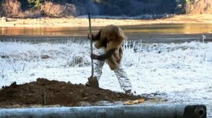 Аляска: Семья из леса 6 сезон 9 серия (реалити-шоу, 2017)