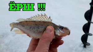 Рыбалка в марте |  Море окуня под лункой | Туман накрыл рыбаков