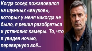 Истории для Вас/Когда сосед пожаловался на шумных «внуков», которых у меня никогда не было, я решил