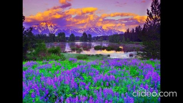 МУЖ СКОРБЕЙ