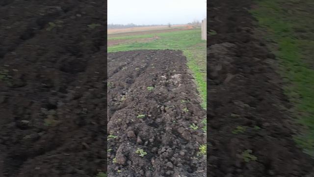 готовимся к посадке огорода