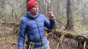 ОГОРОДЫ, КОТОРЫЕ СКРЫВАЛИ ТАЙНУ 200 ЛЕТ. Я копал там, где другие проходили мимо — и вот что достал