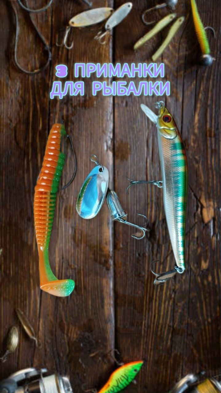 3 приманки, которые стоит взять на рыбалку новичку🎣