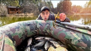 Ловля раков и карася на сетку. Подохла рыба в лесных заливах